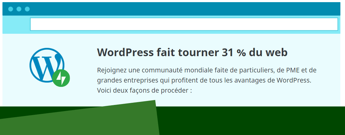 WordPress France